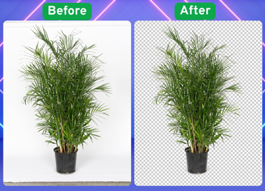 Before and after photo showing subject isolated from complex background